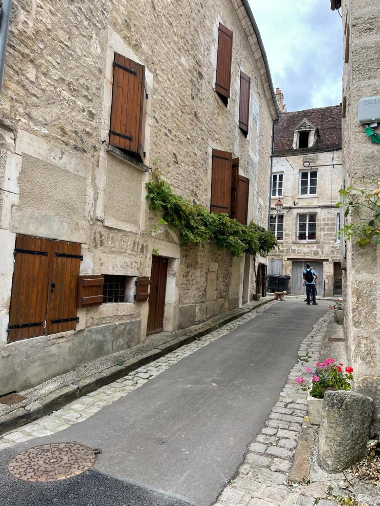 La Maison D'Alienor - Gites De Caractere A Chablis - 89 Exteriér fotografie